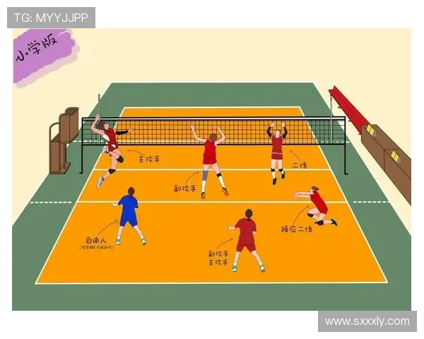 武汉排球队运营模式解析及其在排球热点中的影响与发展策略探讨 武汉排球队运营模式解析及其在排球热点中的影响与发展策略探讨