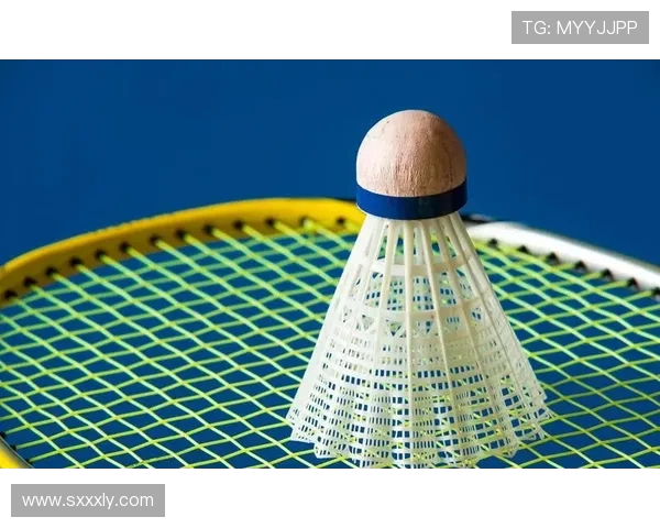 聚焦羽毛球战术解析：上海羽毛球队的竞技策略与训练方法探讨