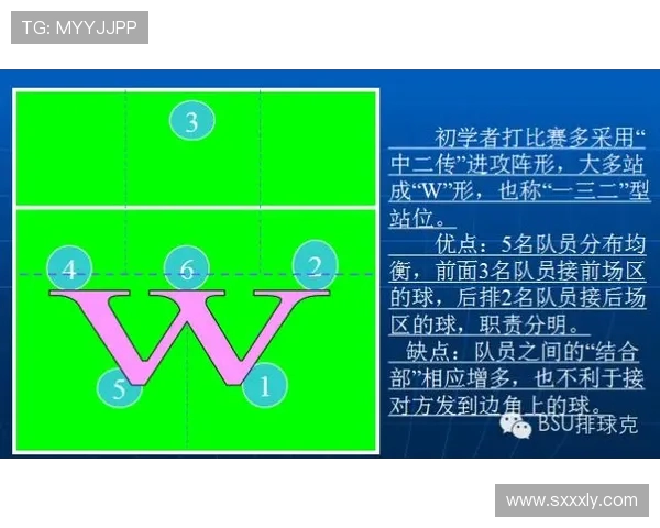 重庆与杭州排球队对决后的战术分析与节奏探讨